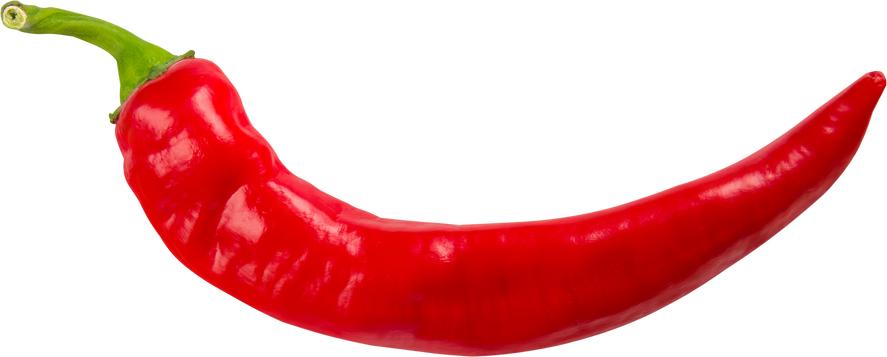 Hot Red Chili Pepper