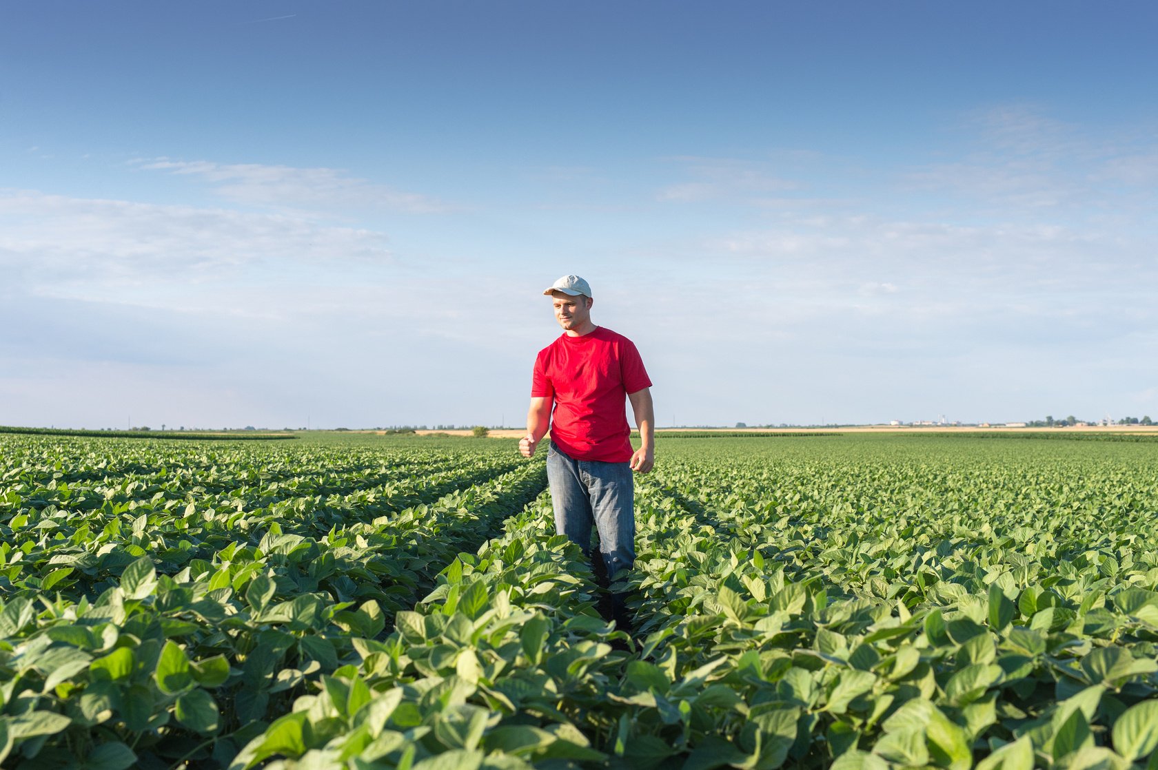 farmer in soybean fields