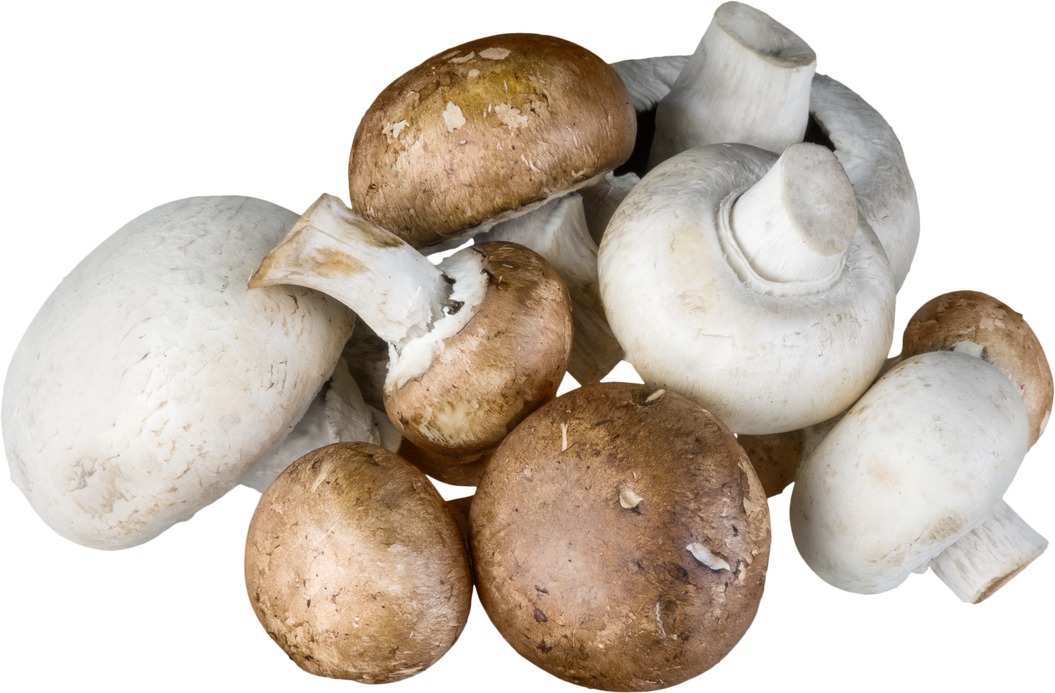 Champignons and Crimini Mushrooms - Isolated