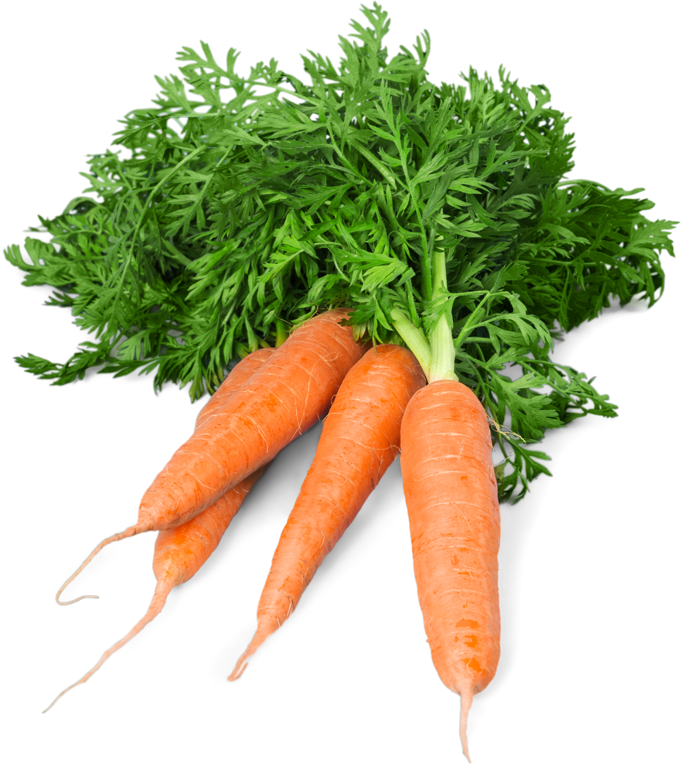 Carrot Vegetable with Leaves Isolated on White Background Cutout